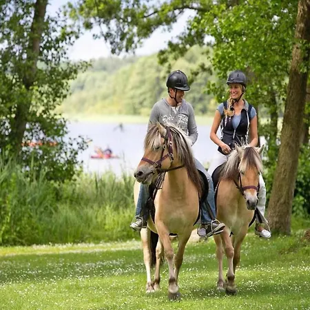 Σπίτι διακοπών Mit Sauna Im Mirow *